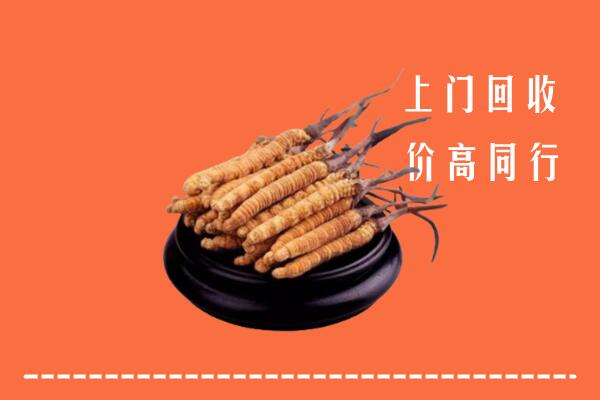 佳木斯市向阳回收散虫草