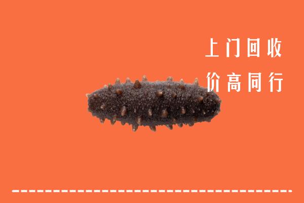 佳木斯市向阳回收海参